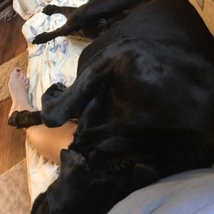 Meet your Posher, Tina